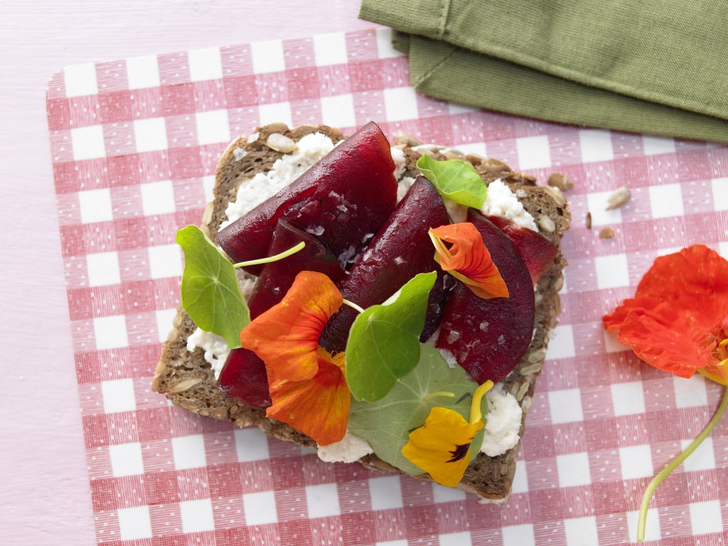 Low Fat Diet Recipes Low Fat Diet Recipes