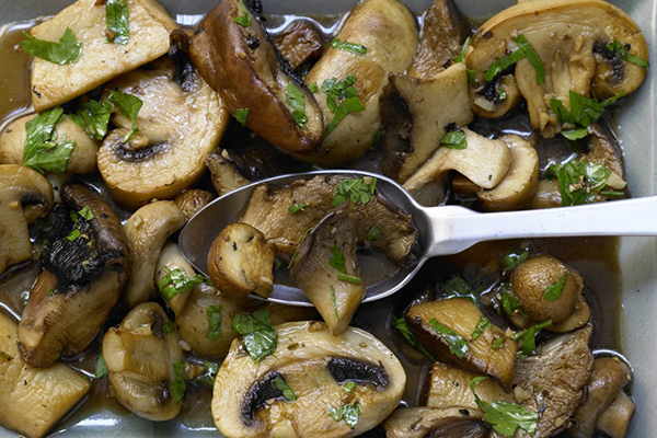 Mushrooms Recipes Mushrooms Recipes
