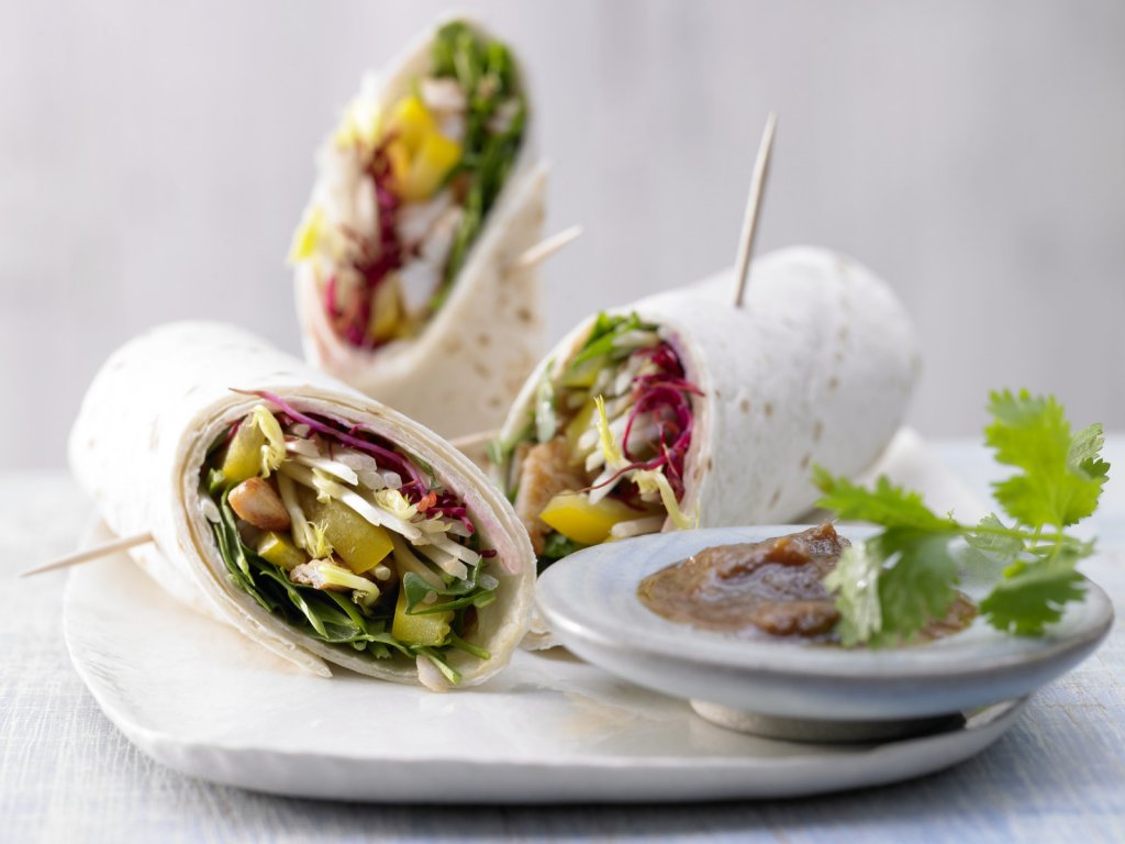 Shred Diet Recipes Shred Diet Recipes