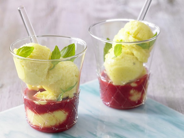 Sorbet Recipes Sorbet Recipes