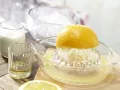 Almond Smoothie with Yogurt preparation step 1 Almond Smoothie with Yogurt preparation step 1