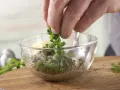 Arugula Salad with Olive Crostini preparation step 3 Arugula Salad with Olive Crostini preparation step 3