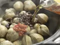 Asian Style Clams preparation step 5 Asian Style Clams preparation step 5
