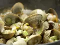 Asian Style Clams preparation step 6 Asian Style Clams preparation step 6
