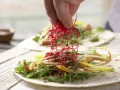 Asian Wraps preparation step 6 Asian Wraps preparation step 6