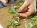 Asparagus Packets preparation step 8 Asparagus Packets preparation step 8