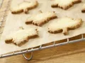 Basic Cookie Dough Recipe preparation step 4 Basic Cookie Dough Recipe preparation step 4