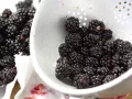 Blackberry and Elderberry Jelly preparation step 1 Blackberry and Elderberry Jelly preparation step 1