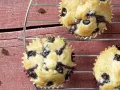 Blueberry Banana Muffins preparation step 7 Blueberry Banana Muffins preparation step 7