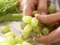 Celery-Grape Wheatgrass Juice preparation step 1 Celery-Grape Wheatgrass Juice preparation step 1