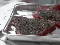 Cumin-Crusted Tuna preparation step 8 Cumin-Crusted Tuna preparation step 8