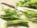 Dandelion Salad preparation step 1 Dandelion Salad preparation step 1
