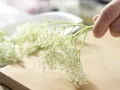 Deep-Fried Elderflowers preparation step 1 Deep-Fried Elderflowers preparation step 1