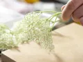 Elderflower-Yogurt Ice preparation step 1 Elderflower-Yogurt Ice preparation step 1