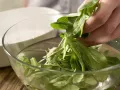 Fennel Lamb's Lettuce Juice preparation step 1 Fennel Lamb's Lettuce Juice preparation step 1