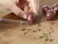 Gooseberry Wreath preparation step 1 Gooseberry Wreath preparation step 1