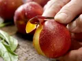 Green Nectarine Drink preparation step 1 Green Nectarine Drink preparation step 1