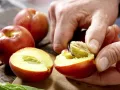 Green Nectarine Drink preparation step 2 Green Nectarine Drink preparation step 2