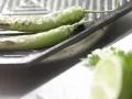 Green Tomato Salsa preparation step 1 Green Tomato Salsa preparation step 1