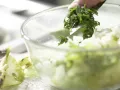 Green Tomato Salsa preparation step 7 Green Tomato Salsa preparation step 7