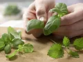 Herbed Ham Spread preparation step 2 Herbed Ham Spread preparation step 2
