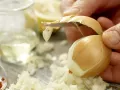 Indian Cheese in Coconut Spinach preparation step 7 Indian Cheese in Coconut Spinach preparation step 7