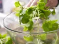 Lemon Balm Sorbet preparation step 2 Lemon Balm Sorbet preparation step 2