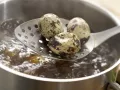 Marbled Quail Eggs preparation step 4 Marbled Quail Eggs preparation step 4