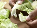 Melon-Mozzarella Salad preparation step 4 Melon-Mozzarella Salad preparation step 4