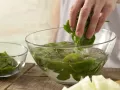 Melon-Spinach Juice preparation step 2 Melon-Spinach Juice preparation step 2