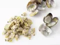 Pasta with Clams and Tomatoes preparation step 6 Pasta with Clams and Tomatoes preparation step 6
