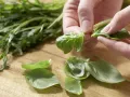 Peach-Arugula Salad preparation step 1 Peach-Arugula Salad preparation step 1