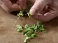 Pizza with Brussels Sprouts preparation step 4 Pizza with Brussels Sprouts preparation step 4