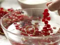 Red Currant Jelly preparation step 1 Red Currant Jelly preparation step 1