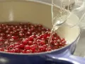 Red Currant Jelly preparation step 3 Red Currant Jelly preparation step 3