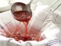 Red Currant Jelly preparation step 5 Red Currant Jelly preparation step 5