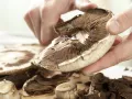 Roasted Portobello Mushrooms preparation step 8 Roasted Portobello Mushrooms preparation step 8