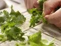 Root Vegetable Juice preparation step 4 Root Vegetable Juice preparation step 4