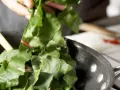Savory Braised Chard preparation step 5 Savory Braised Chard preparation step 5