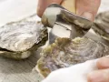 Smarter Oysters with Parsley Salsa Verde preparation step 7 Smarter Oysters with Parsley Salsa Verde preparation step 7