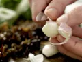Steamed Vegetarian Dumplings preparation step 5 Steamed Vegetarian Dumplings preparation step 5