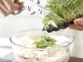 Stuffed Endive preparation step 4 Stuffed Endive preparation step 4