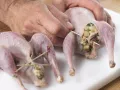 Stuffed Partridge preparation step 9 Stuffed Partridge preparation step 9