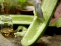Thai Cucumber Salad preparation step 3 Thai Cucumber Salad preparation step 3