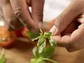 Tomato Sandwich preparation step 5 Tomato Sandwich preparation step 5