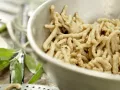Whole-Grain Spaetzle preparation step 4 Whole-Grain Spaetzle preparation step 4