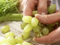 Celery-Grape Juice preparation step 1 Celery-Grape Juice preparation step 1