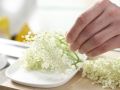 Elderflower Fritters preparation step 1 Elderflower Fritters preparation step 1