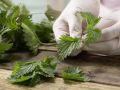 Nettle-Chicken Wraps preparation step 2 Nettle-Chicken Wraps preparation step 2