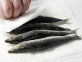 Rosemary Sardines preparation step 1 Rosemary Sardines preparation step 1